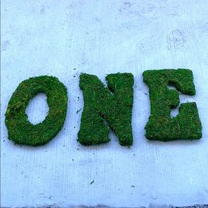 Moss decoration ONE for first birthday theme decor